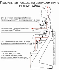 Стульчик «Вырастайка»