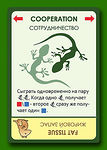 Настольная игра Эволюция