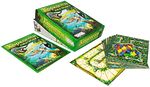 Настольная игра Каркассон: Амазонка