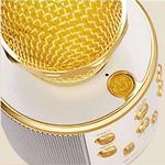 Беспроводной Bluetooth Караоке-микрофон WSTER WS-858 в коробке золотой