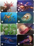 Настольная игра мемо Подводный мир