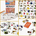Настольная игра Loonacy