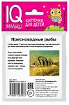 НАБОР КАРТОЧЕК. УМНЫЙ МАЛЫШ. ПРЕСНОВОДНЫЕ РЫБЫ