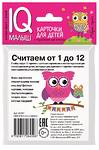 НАБОР КАРТОЧЕК. УМНЫЙ МАЛЫШ. СЧИТАЕМ ОТ 1 ДО 12 