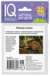 НАБОР КАРТОЧЕК. УМНЫЙ МАЛЫШ. ПОРОДЫ КОШЕК