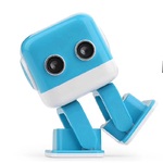 Радиоуправляемый робот WL Toys F9