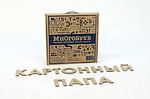 Набор игровой из картона Много букв